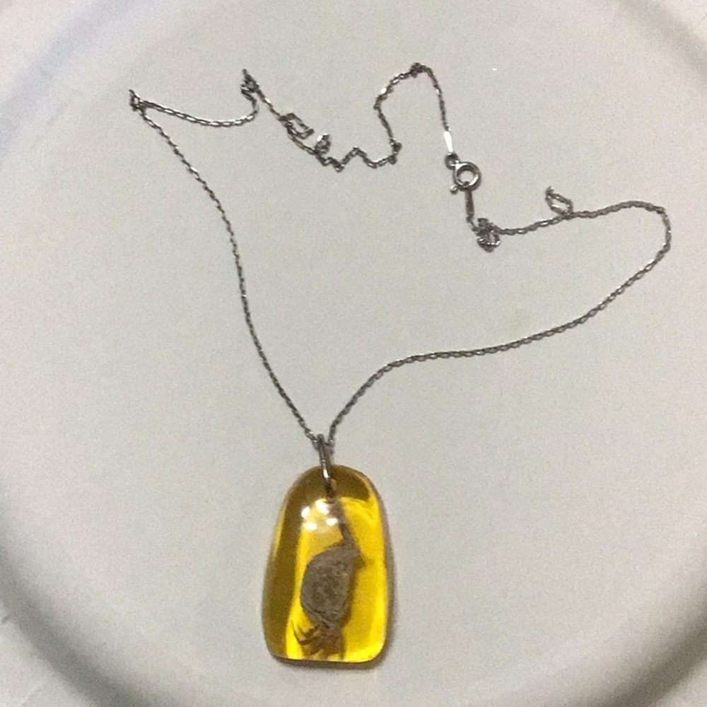 Natural Amber Silver 925 Necklace w/ real crab - Picture 1 of 6